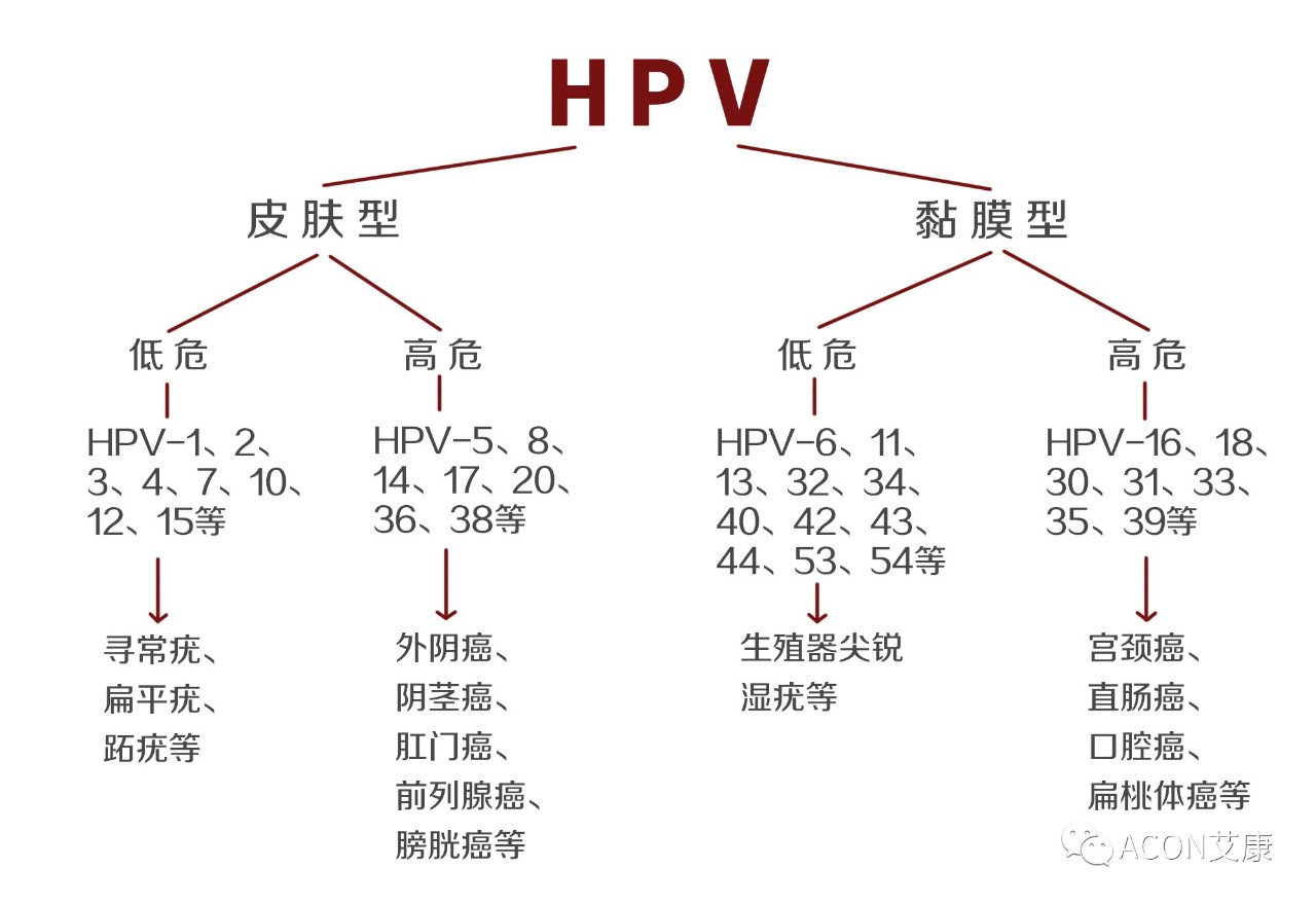 HPV疫苗有必要打吗？二价、四价、九价要如何选择！